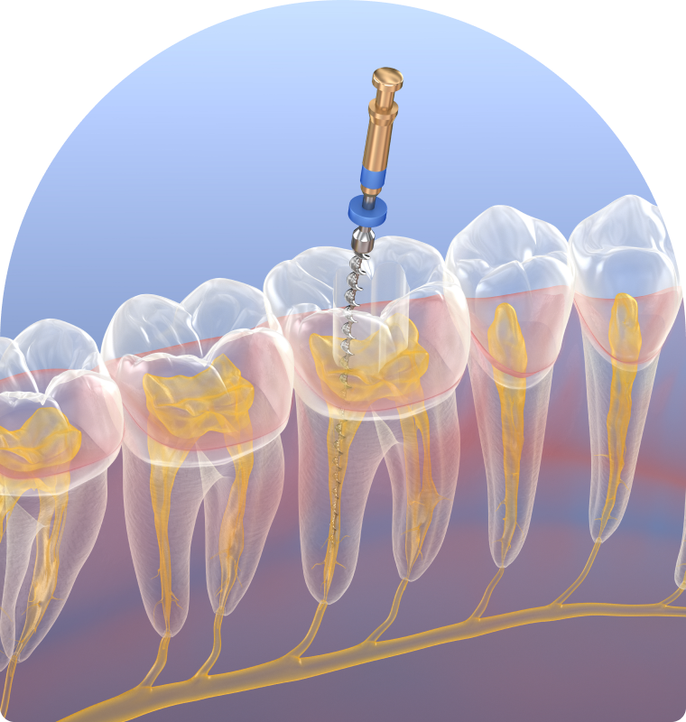 SNT, Dentistes à Vaires-sur-Marne